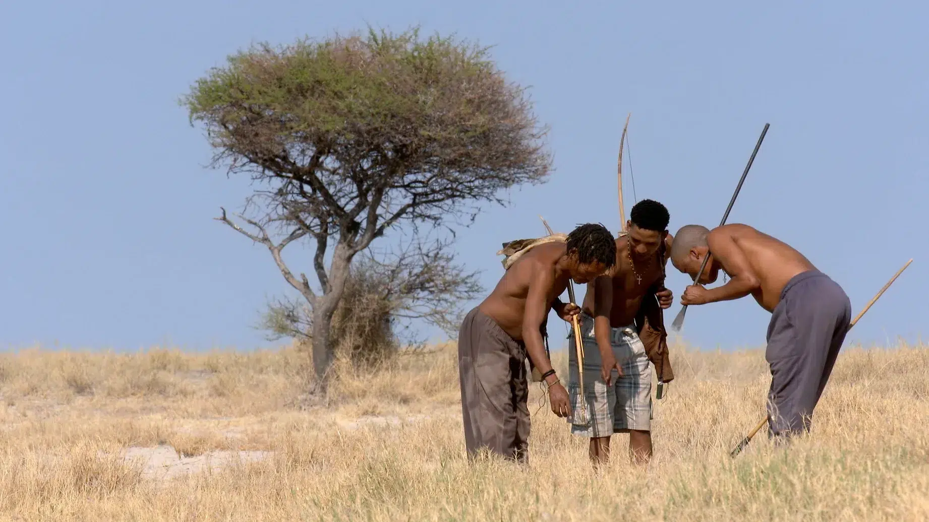 Three men in a savanna landscape closely examine the ground with bows and arrows in hand. They are shirtless, wearing pants or shorts, and stand near a tall tree with sparse foliage against a blue sky. The ground is covered with dry grass.