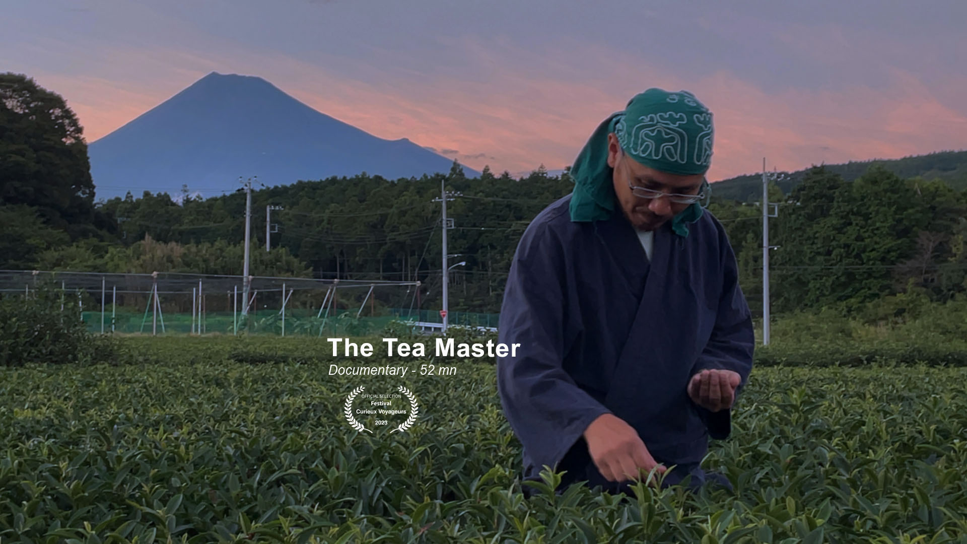 A person wearing a green bandana and dark clothing is examining tea plants in a field at sunset with a mountain in the background. The text over the image reads "The Tea Master, Documentary - 52 min" with a small award icon beneath the text.