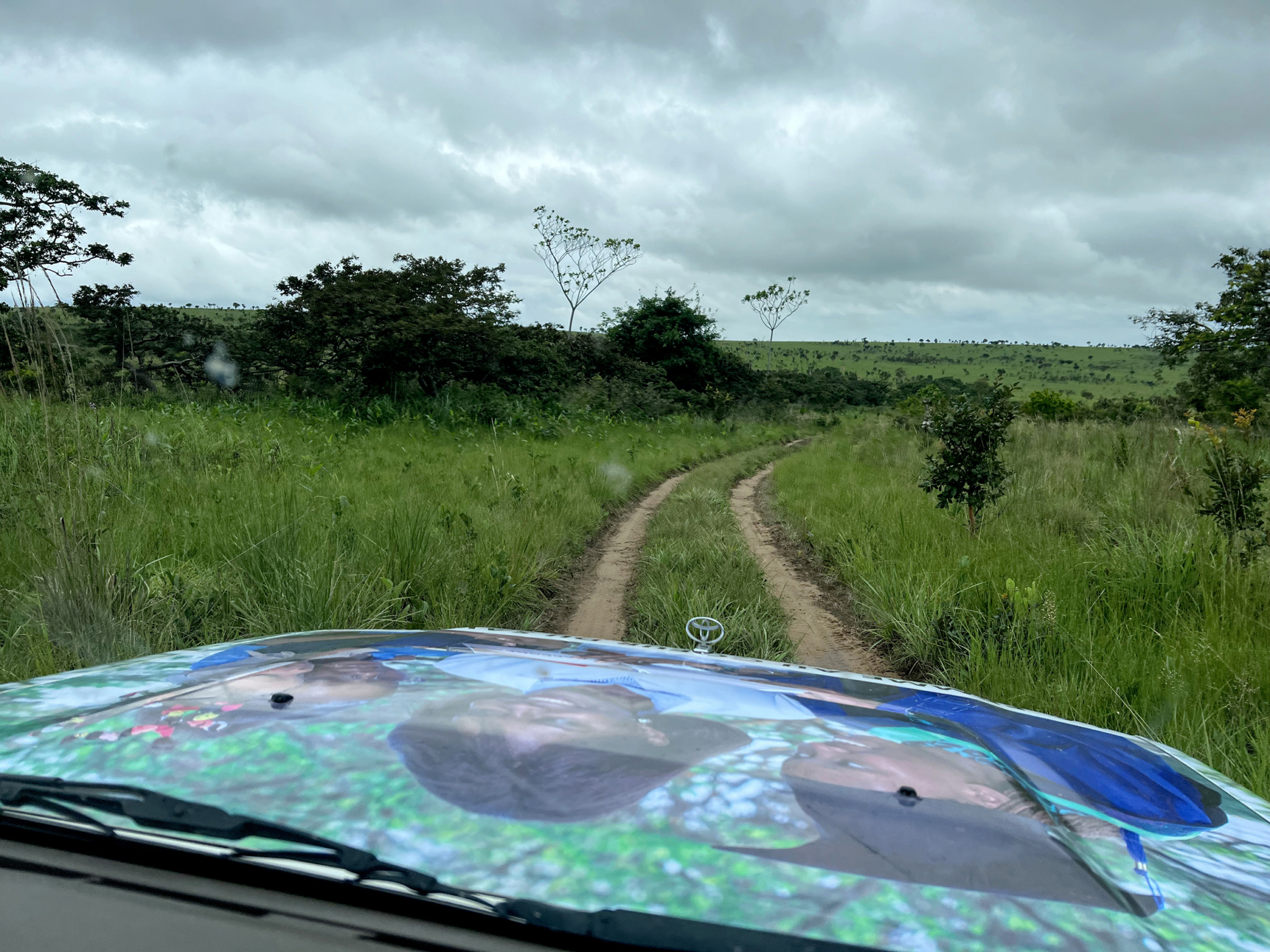 View from inside a vehicle on a dirt road in a grassy field under an overcast sky. The hood of the vehicle features a colorful image of three people. Small bushes and trees are scattered in the landscape ahead.