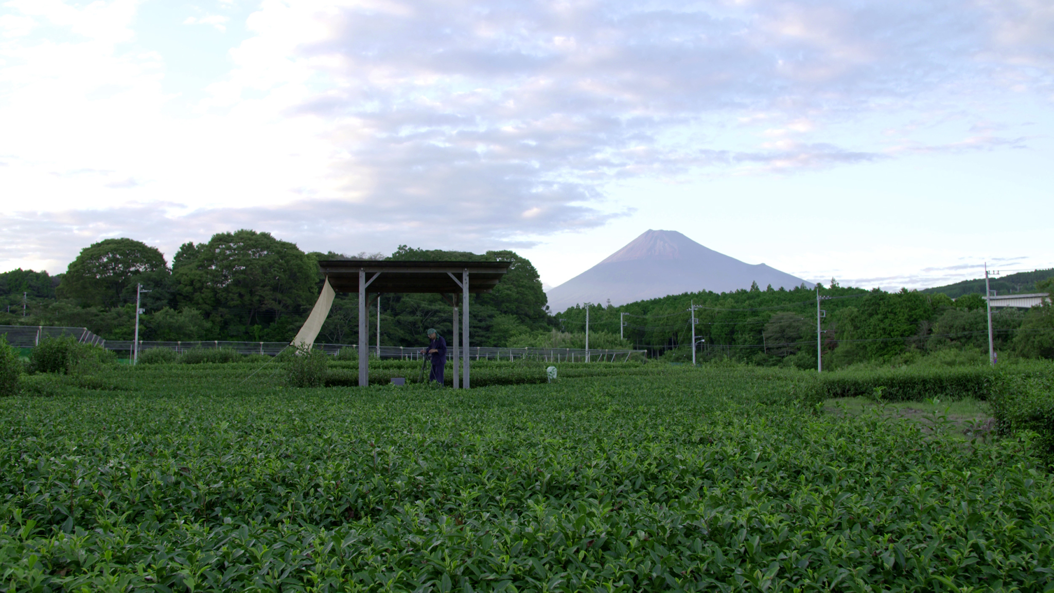 A person stands under a small shelter in a lush green field with a distant view of Mount Fuji against a partly cloudy sky. Trees and vegetation surround the area, contributing to the serene rural landscape.