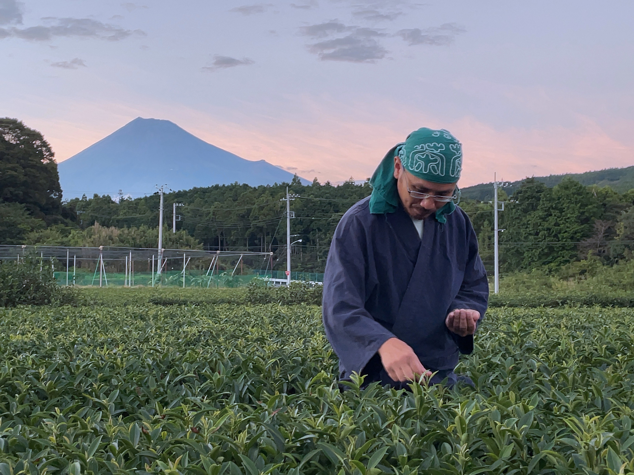 A person wearing a blue robe and a green bandana inspects plants in a field. A large mountain, partially obscured by haze, can be seen in the background under an evening sky with faint clouds. The surrounding area is lush with greenery.