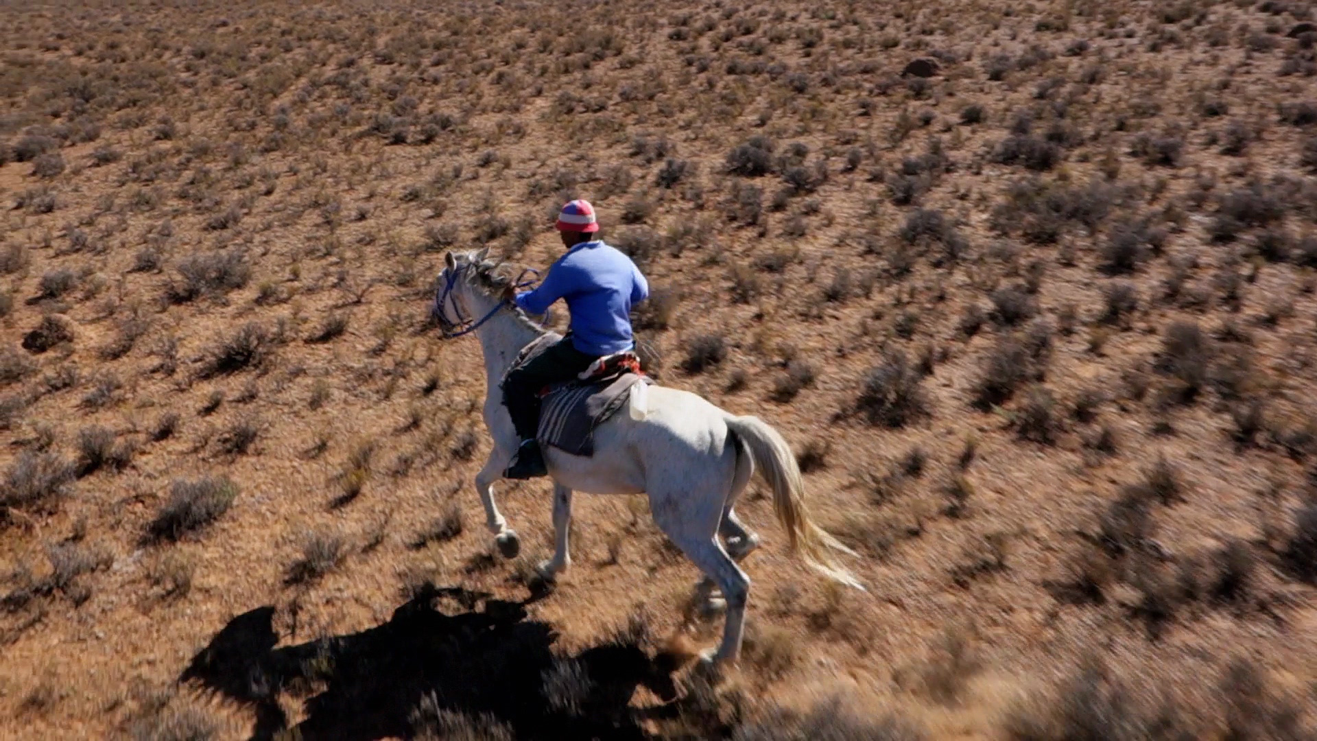 A person wearing a blue shirt and a red and blue hat rides a white horse across a dry, brown, and sparsely vegetated landscape. The image is taken from above, showing the vast and rugged terrain stretching out beyond the rider.