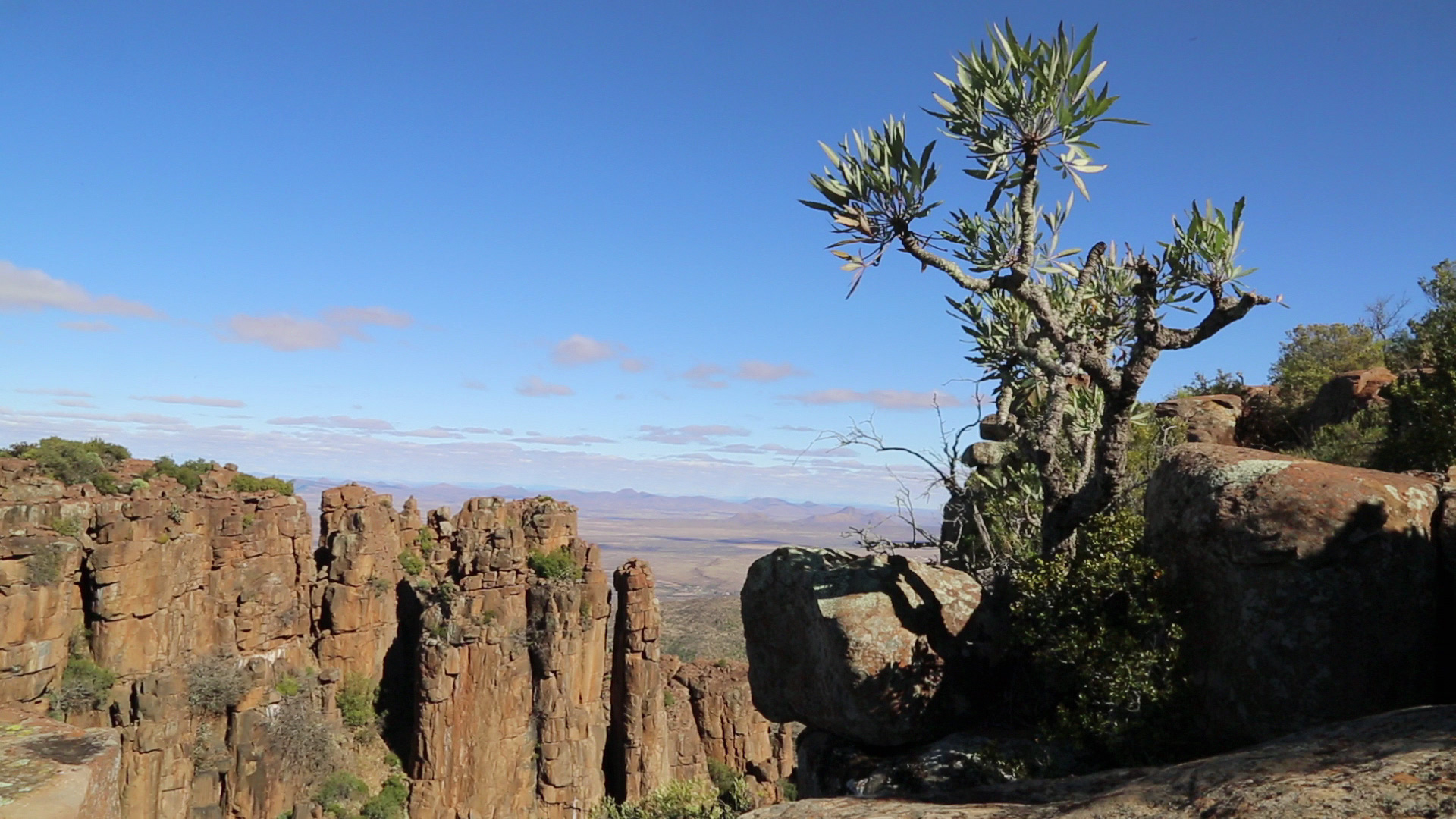 A scenic landscape showing tall, rugged rock formations extending into the distance under a clear blue sky. In the foreground, a small, twisted tree clings to a rocky outcrop, with sparse vegetation dotting the scene.