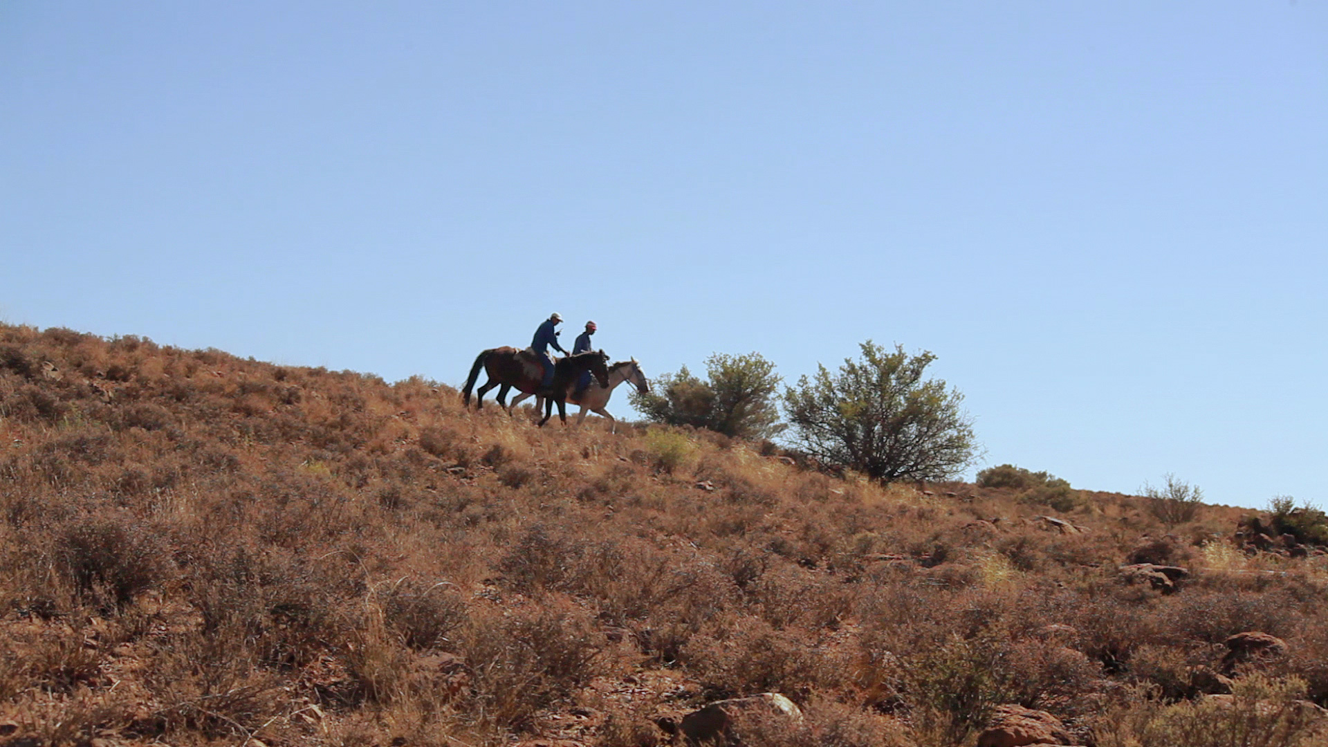 Two people are riding horses on a dry, grassy hill under a clear blue sky. They are moving from left to right, with shrubs and dry vegetation dotting the landscape. Trees and bushes are scattered in the background.