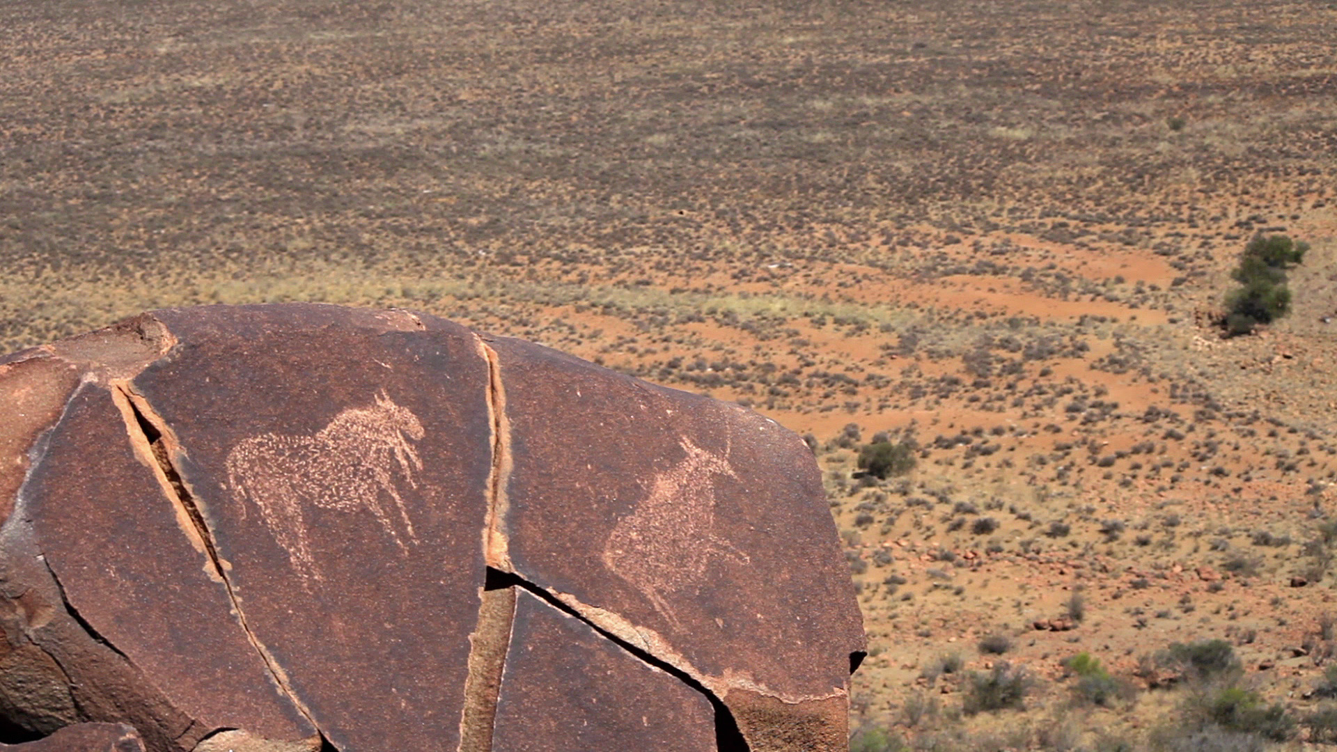 A large rock with ancient petroglyphs of animals, possibly depicting antelopes, stands on the edge of a rocky desert plain. The person viewing the rock faces an expansive, arid landscape under a clear sky.
