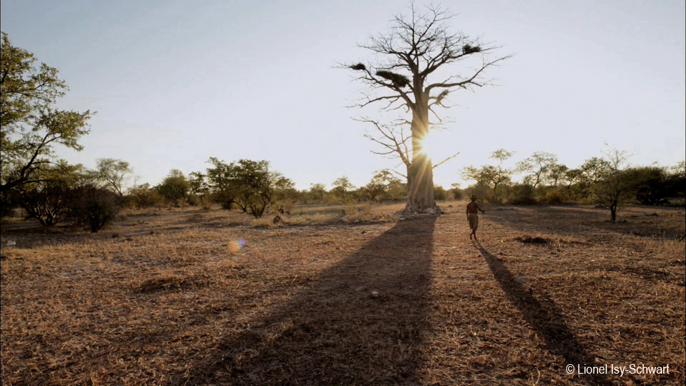 A lone person walks towards a large, leafless tree in an open landscape at sunset. The sun casts long shadows on the dry, brown ground. Scattered trees and shrubs are seen in the background. Snow-capped mountain peaks against a distant horizon. © Lionel Ishi Schwartz.