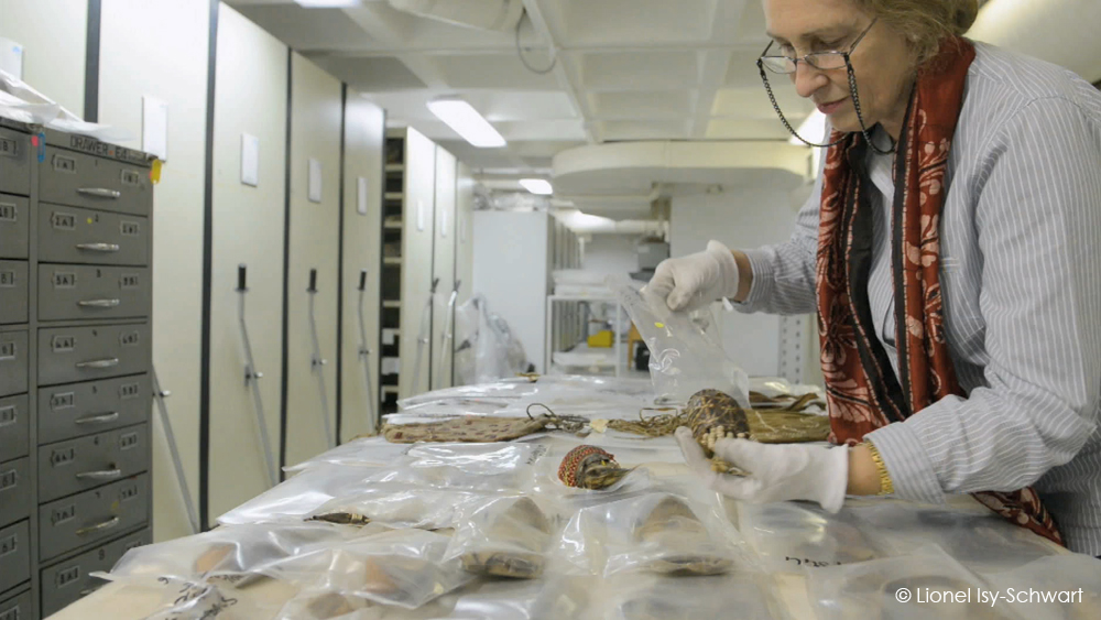 A person wearing gloves and a magnifying headset examines and organizes artifacts on a table covered with plastic bags. Cabinets and filing systems are visible in the background. The workspace appears to be a storage or preservation area for valuables.