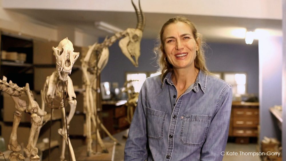 A woman in a denim shirt smiles for the camera while standing in front of skeleton displays in a laboratory or museum. The background features several animal skeletons, drawers, and a blue wall. (© Kate Thompson-Gorry).